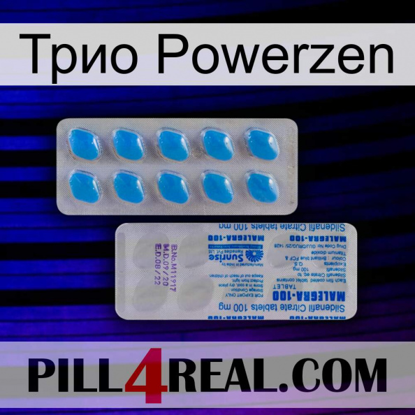 Трио Powerzen new15.jpg